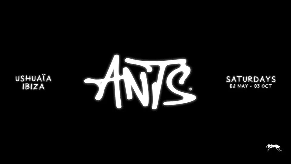Ants in Ibiza - Image 1